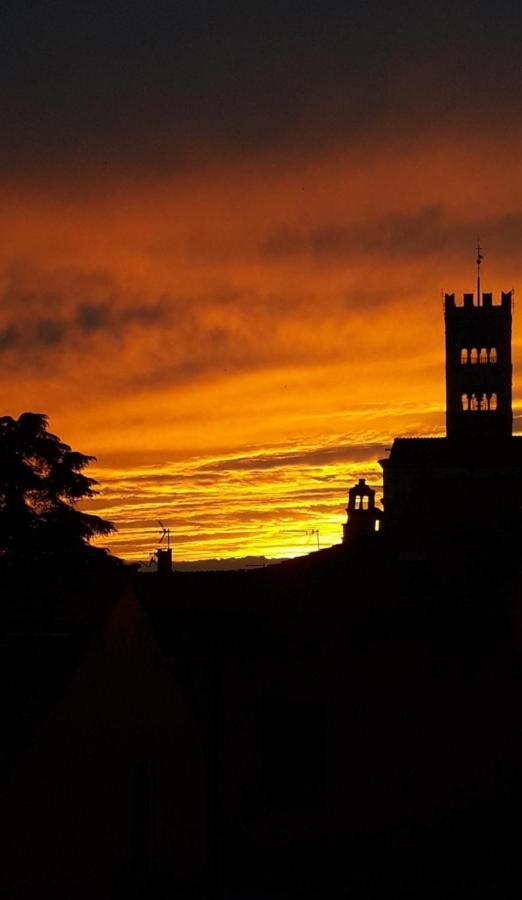 La Terrazza Fra Le Torri Apartment ลุคคา ภายนอก รูปภาพ