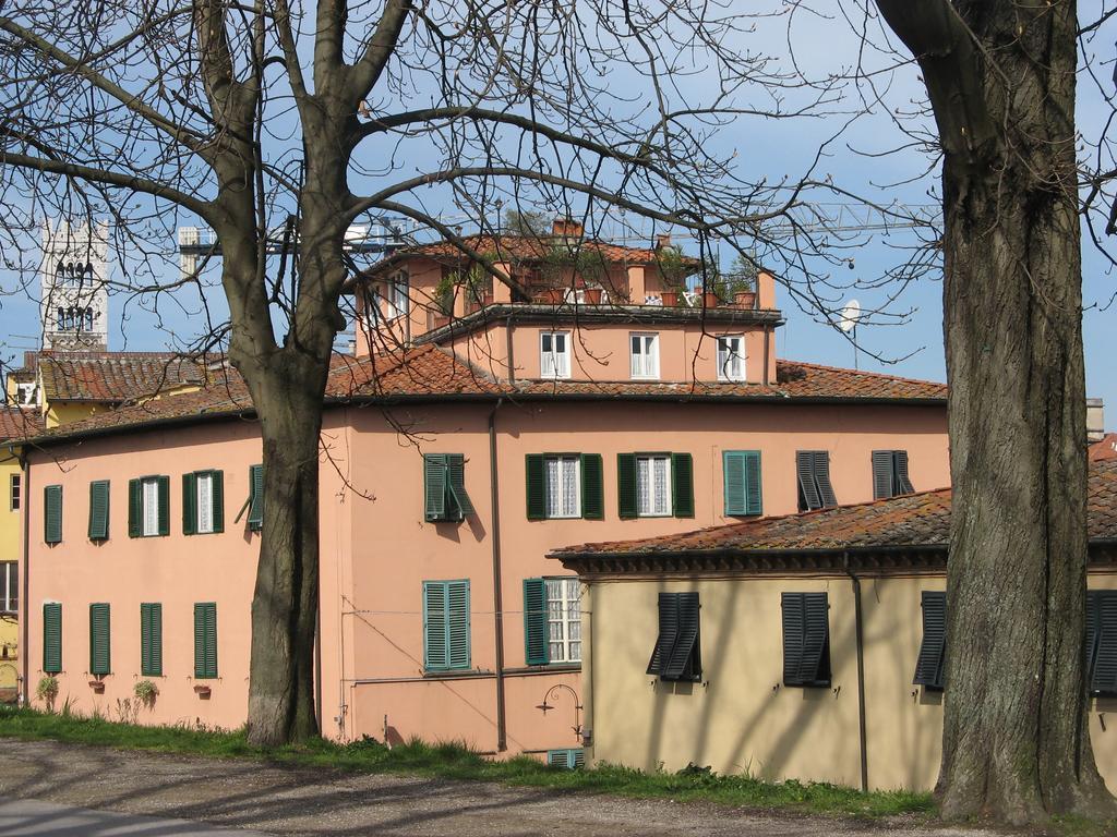 La Terrazza Fra Le Torri Apartment ลุคคา ภายนอก รูปภาพ